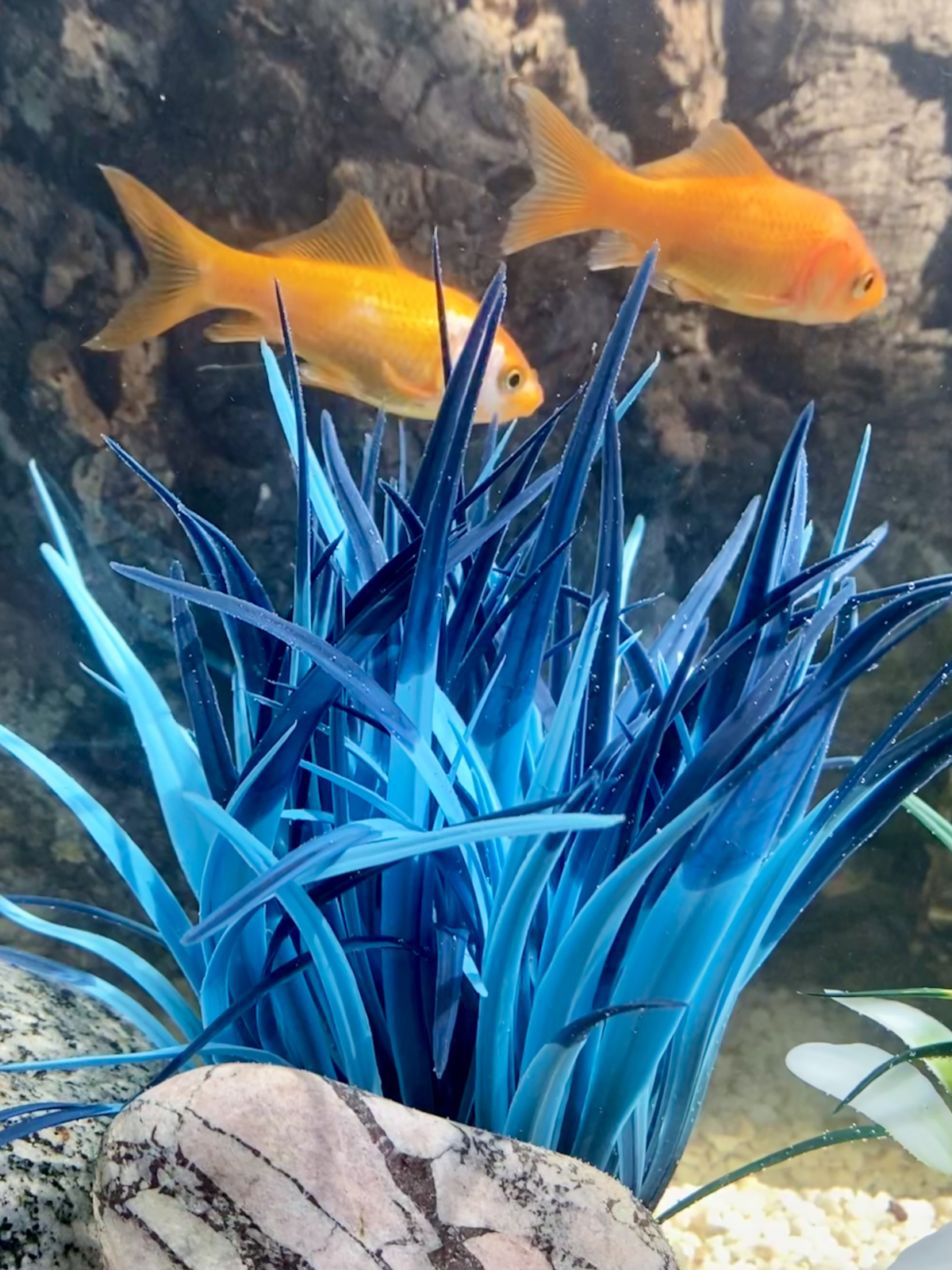 Tyrol Plante d'Aquarium Artificielle Buisson Bleu Néon