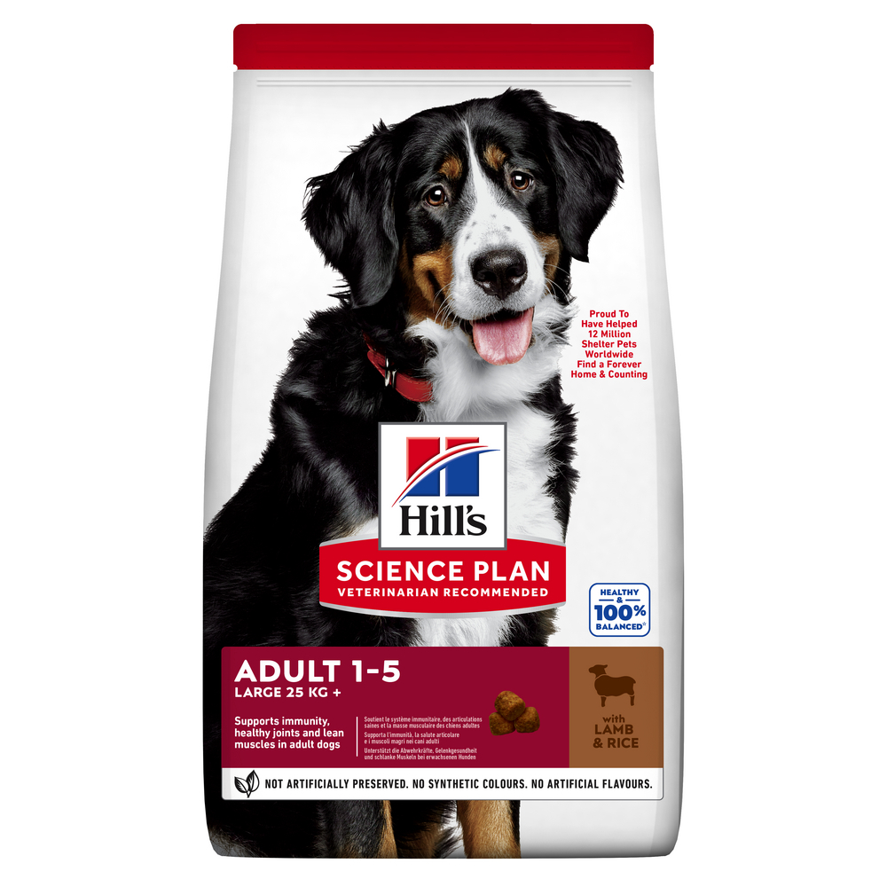 Hill's Science Plan Adult Cordero y Arroz para perros grandes