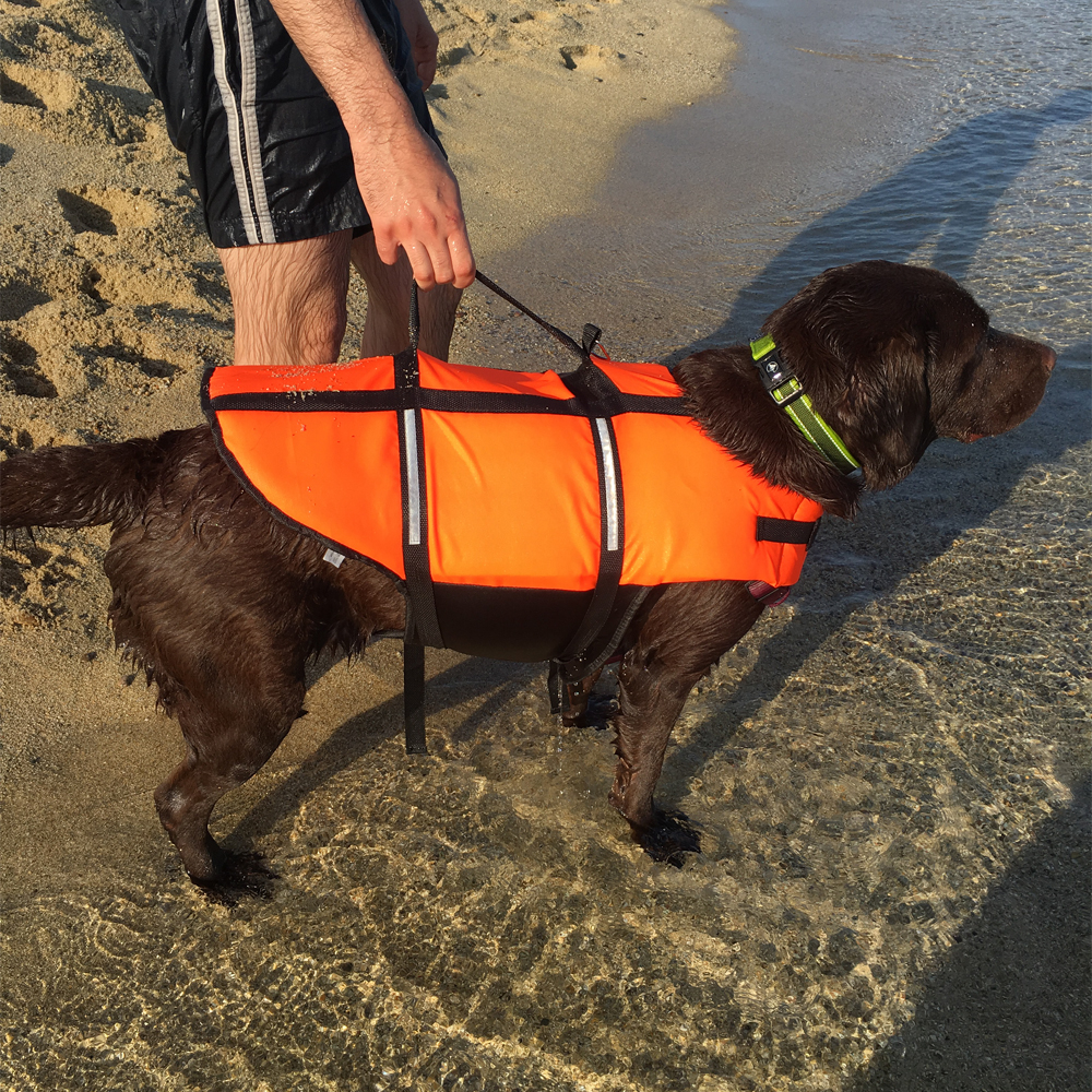 Honden reddingsvest - Beschikbaar in verschillende maten