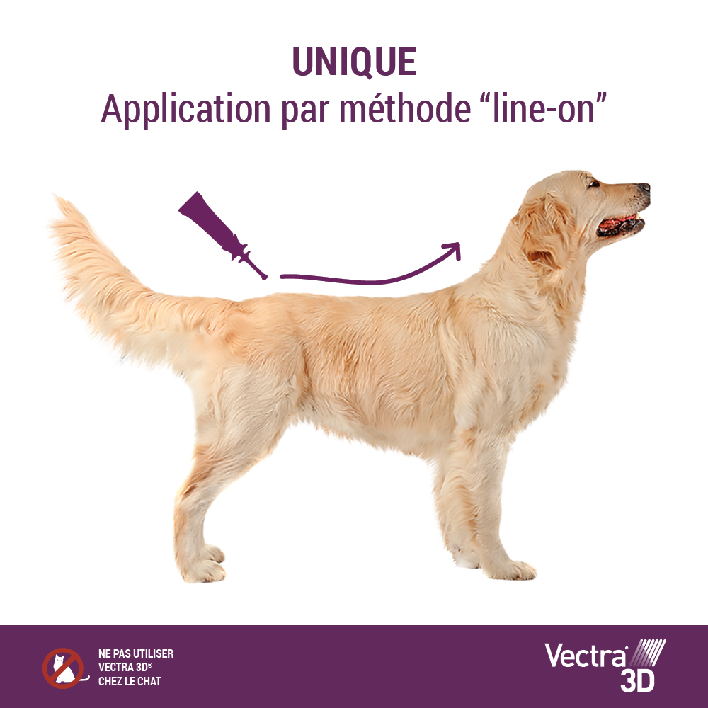 Vectra 3D : un antiparasitario muy efectivo para perros