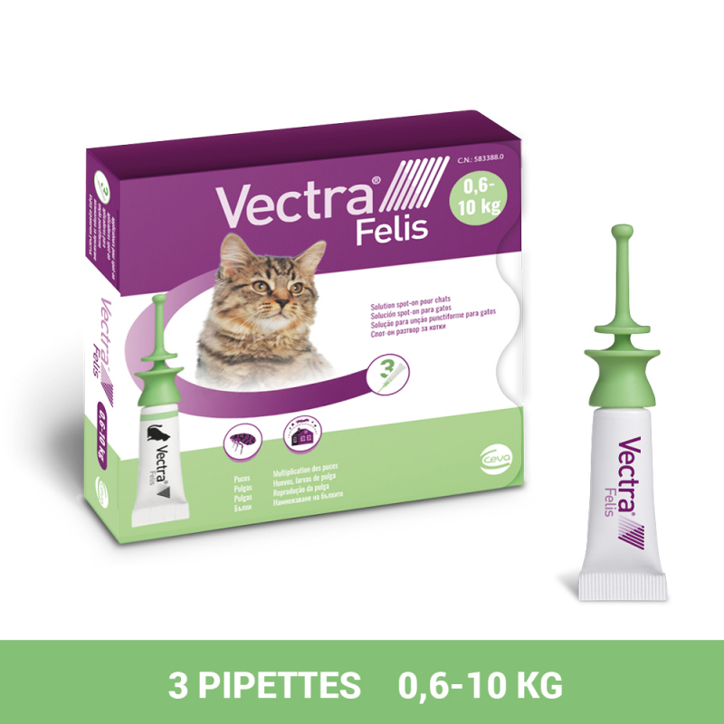 VECTRA FELIS, pipettes traitement et prévention des infestations par les puces
