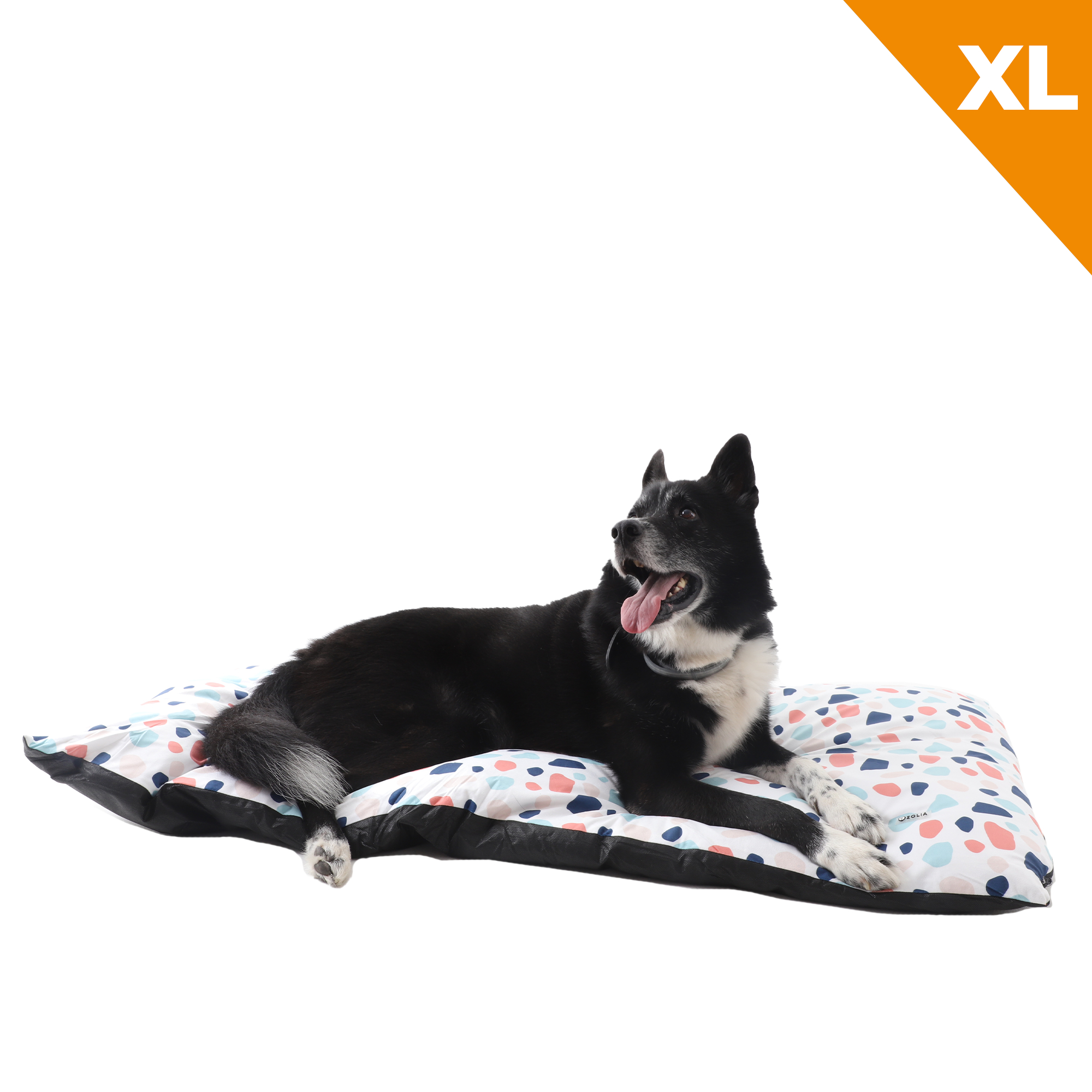 Coussin pour chien Zolia Marea - 4 tailles