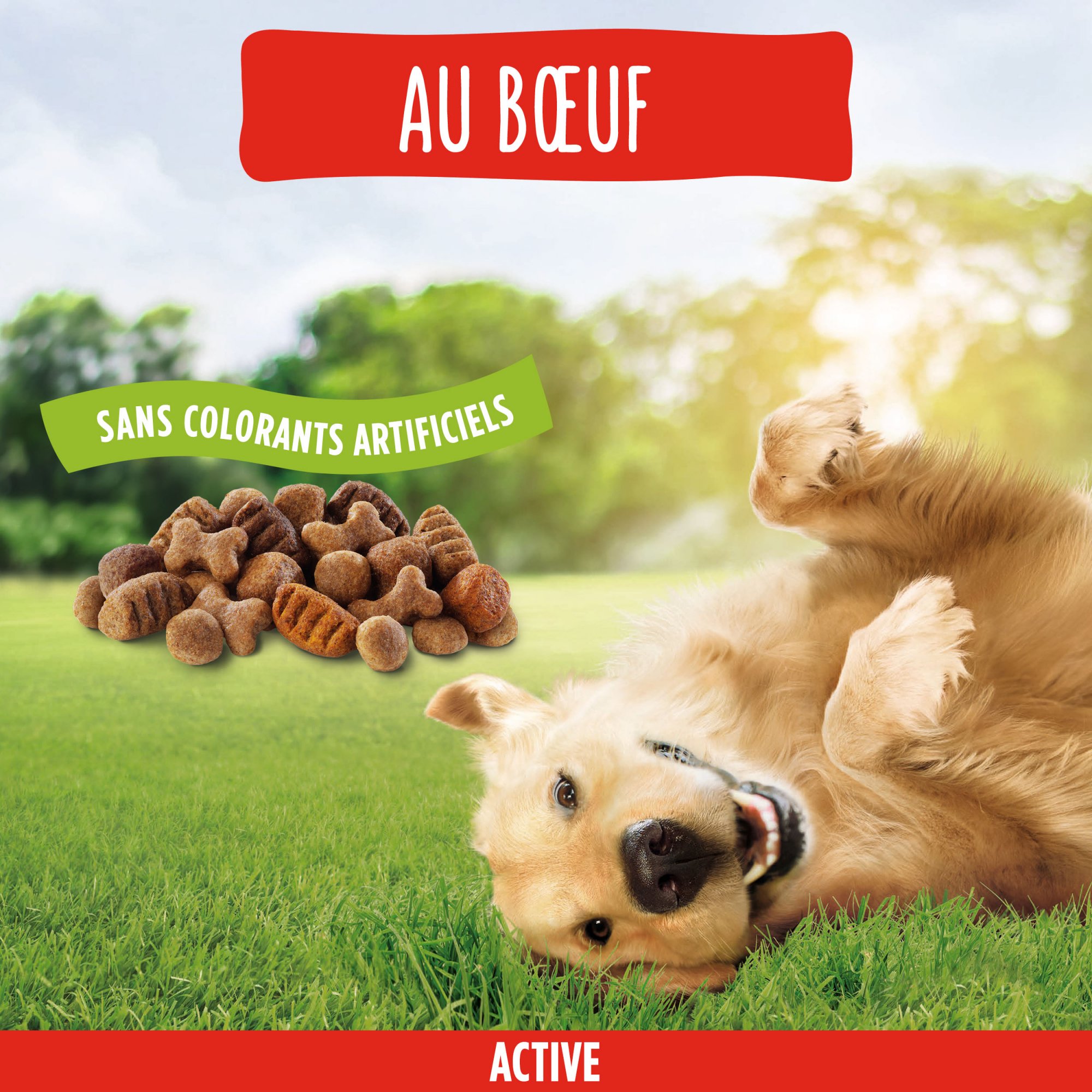 Friskies Active met rundvlees voor volwassen honden