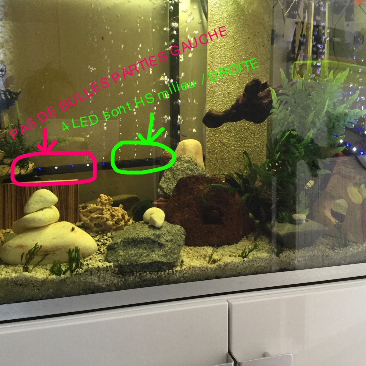 Lampe à bulles pour aquarium avec pompe à air LED pour décoration de tortue  GROOFOO