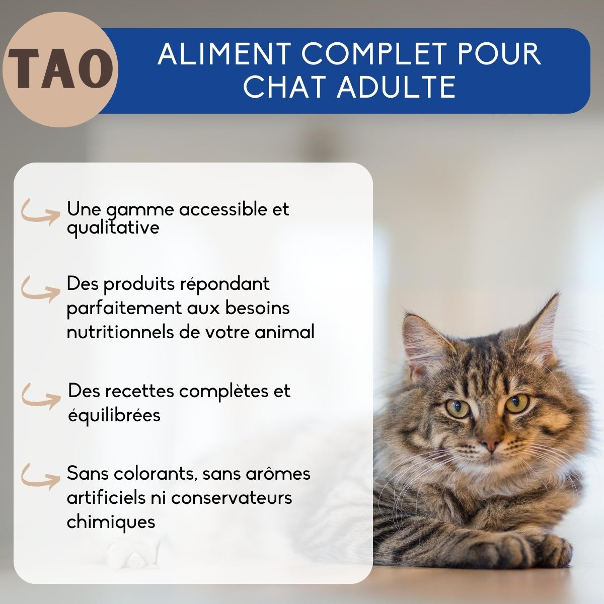 TAO Croquettes para gato adulto ao frango