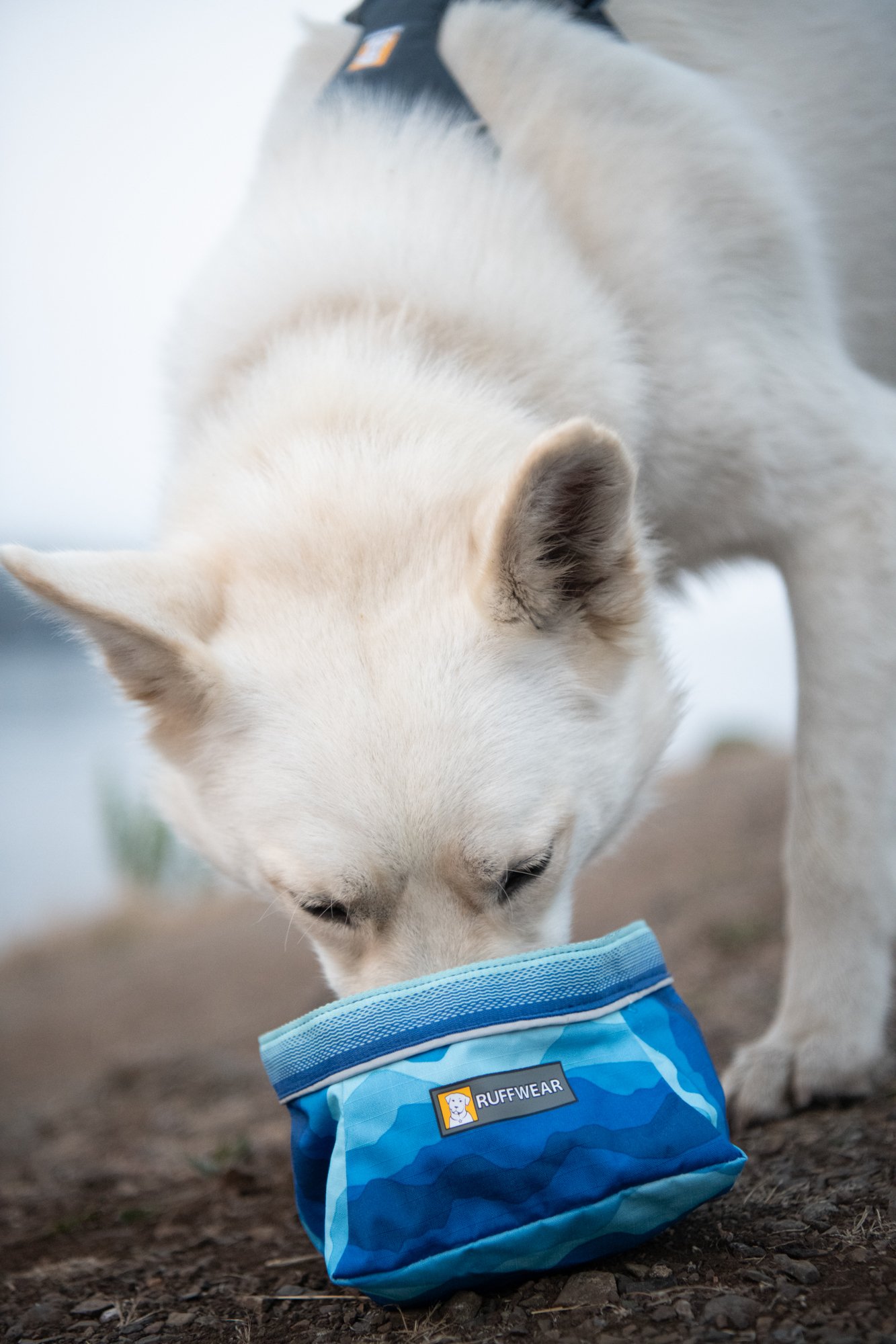 Inklapbare Voerbak Quencher Bowl voor honden van Ruffwear - verschillende kleuren beschikbaar 