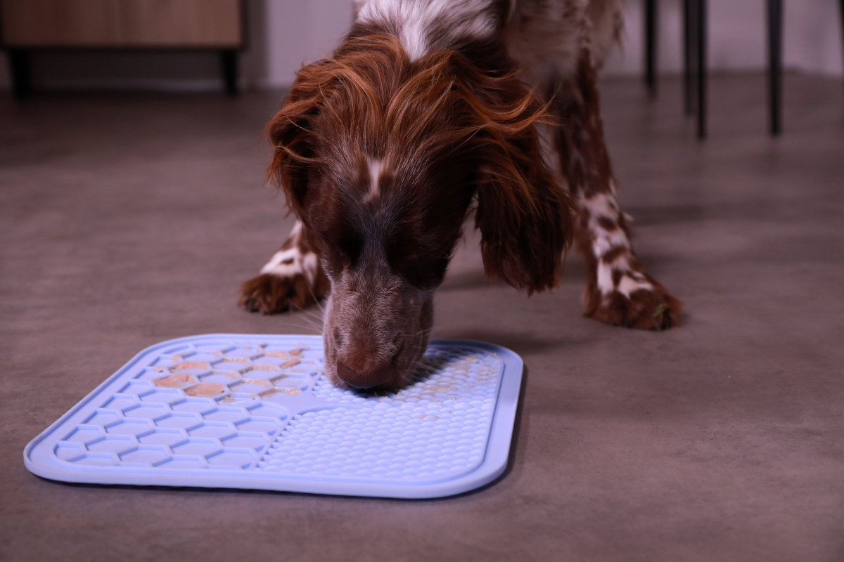 Tapis à lécher pour chien - 2 tailles disponibles