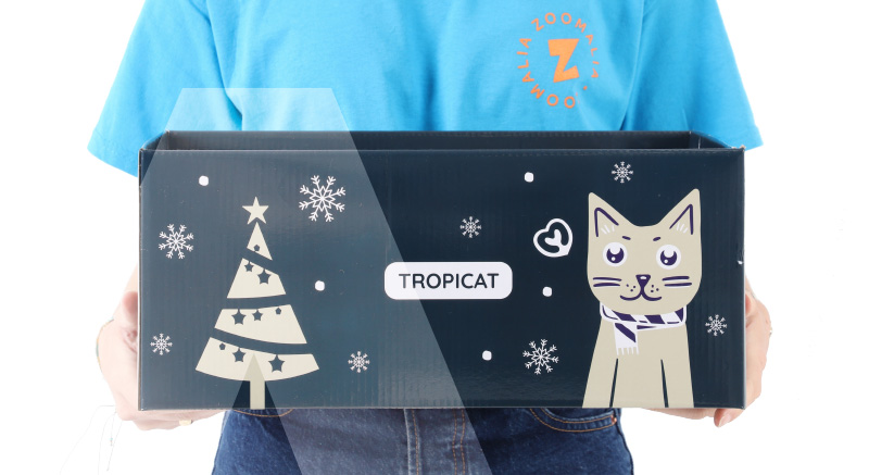 Presentando el rascador de cartón para gatos DIY Zolia TropiCat Invierno