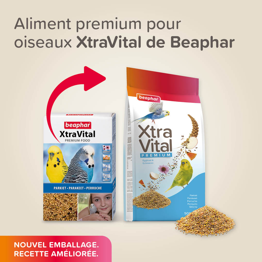 XtraVital Alimentation premium pour perruches