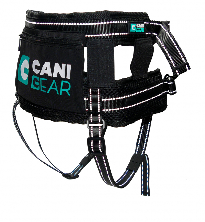 CANI GEAR Cinturón ventral Olympia