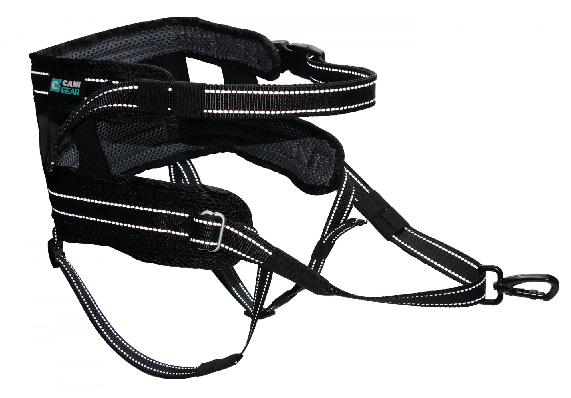 CANI GEAR Ceinture ventrale Olympia