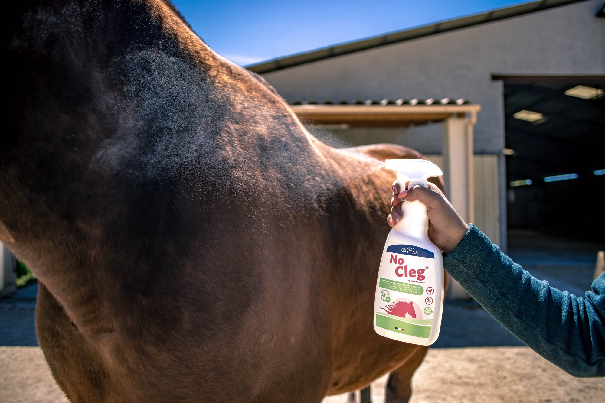 NoCleg bescherming tegen dazen, muggen en knutten voor paarden