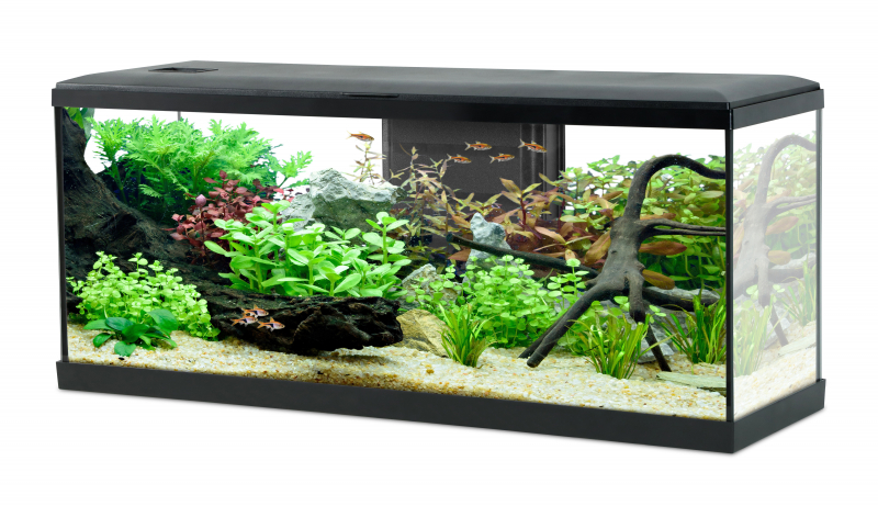 Aquarium-Set TANA LED 100cm - 120L