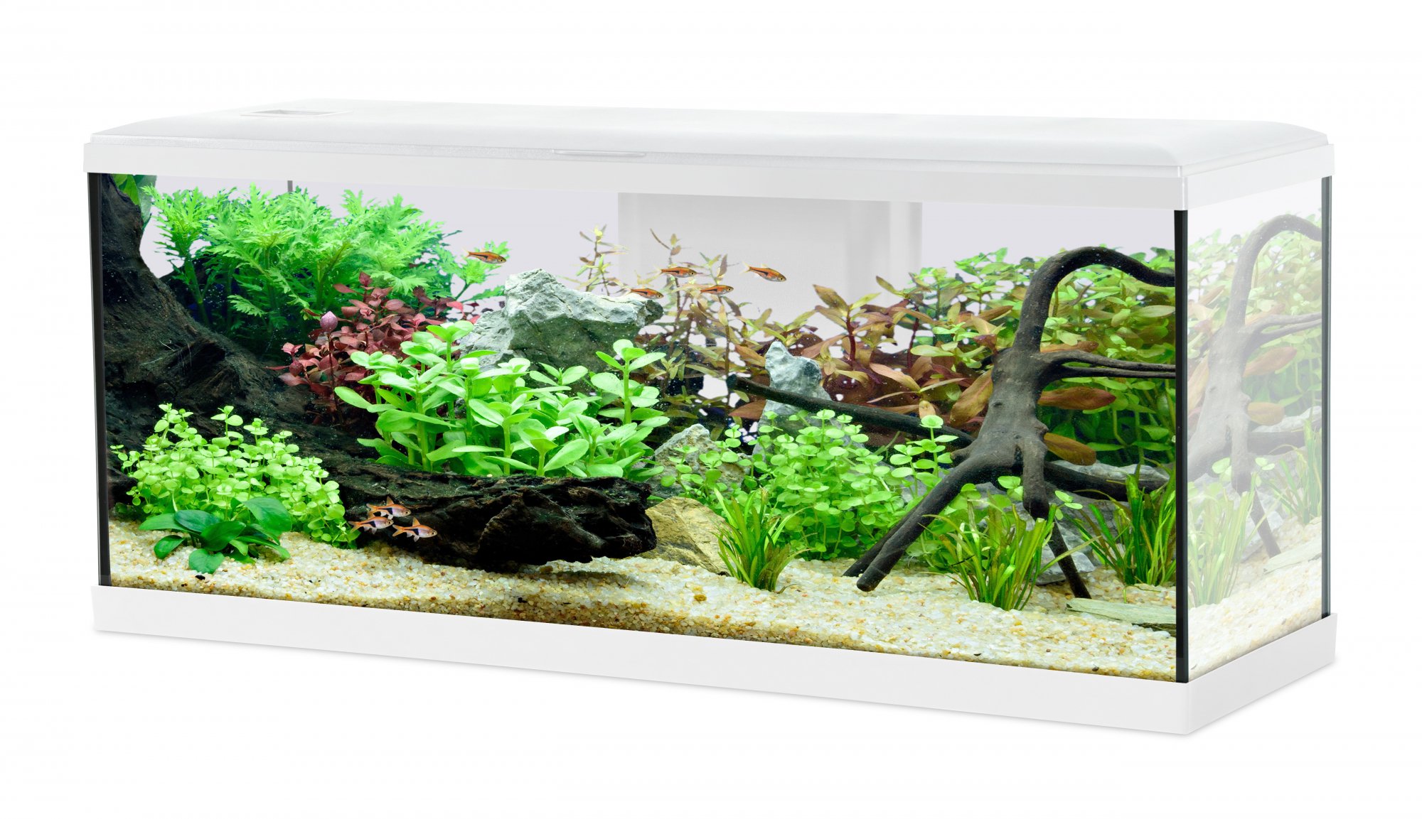 Aquarium-Set TANA LED 100cm - 120L