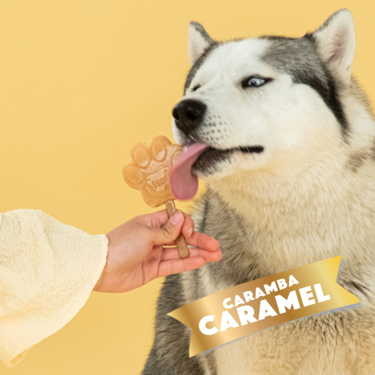 Smoofl Mezcla para helado para perro adulto - Caramelo