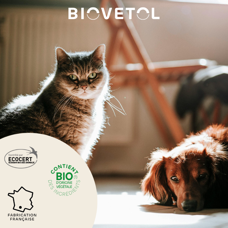 BIOVETOL Bio-Shampooing gegen Insekten für Hunde und Katzen