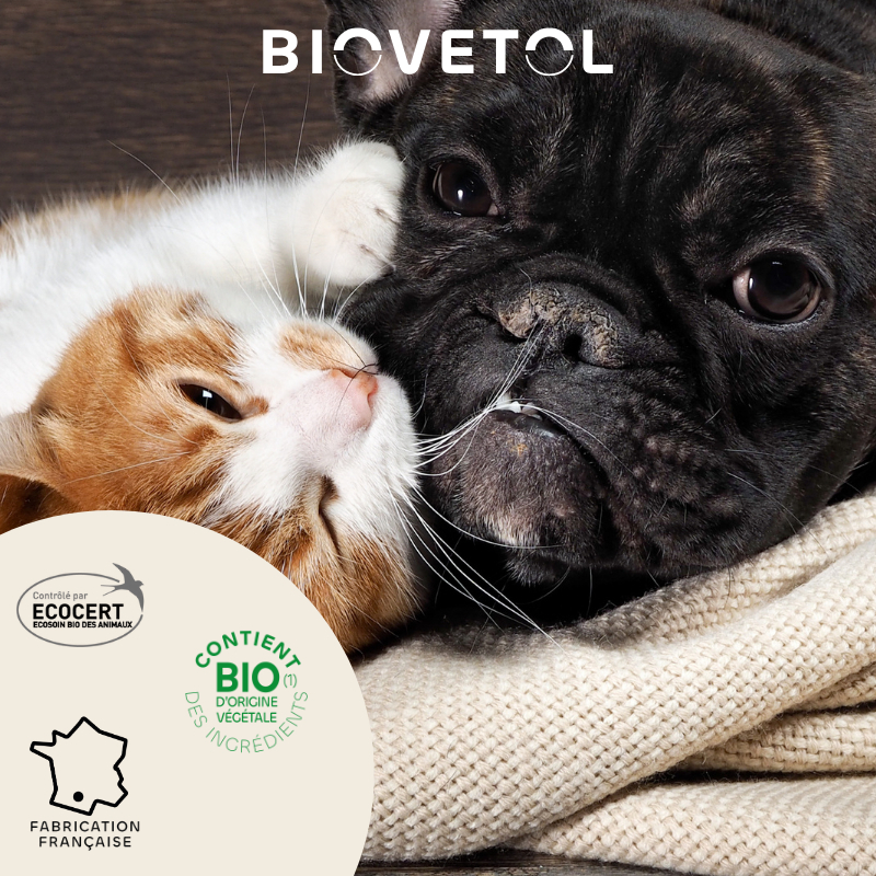 BIOVETOL Poudre anti-insectes bio pour chien et chat 