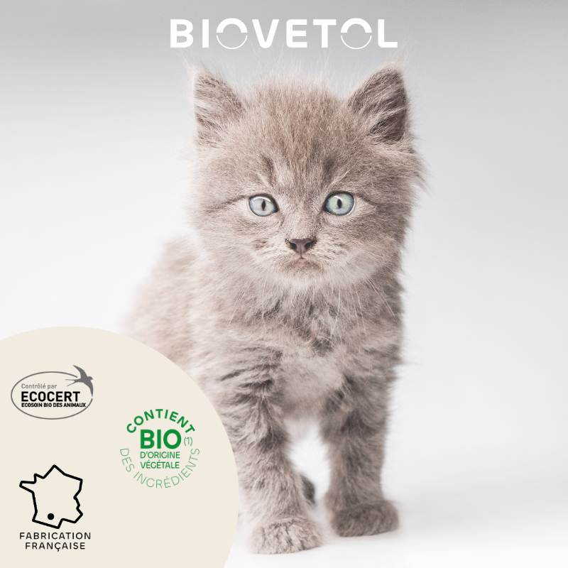 BIOVETOL Pipetten Insektenschutz Bio für Katzen und Kätzchen