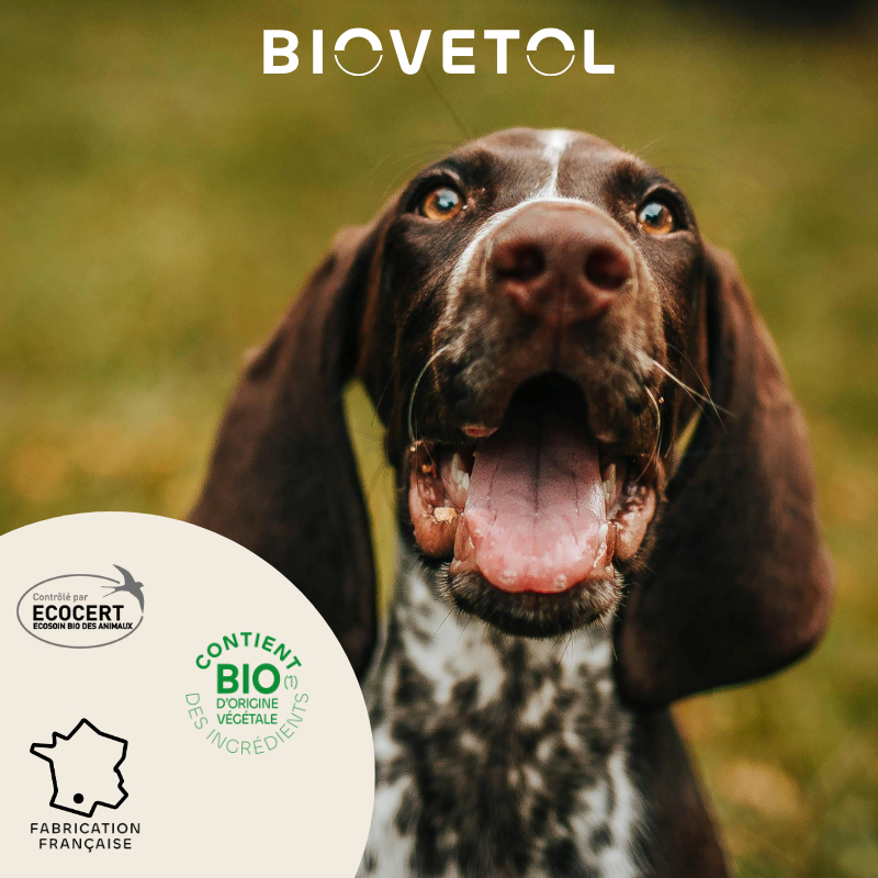 BIOVETOL Pipettes insectifuge moyen chien Bio