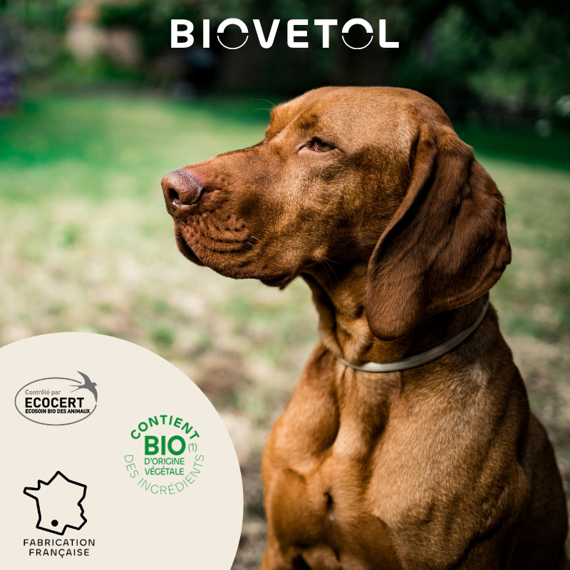 BIOVETOL Pipettes insectifuge grand chien Bio 