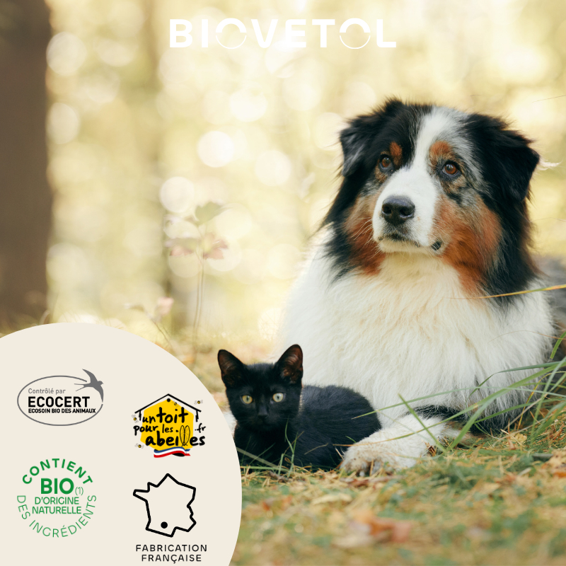 BIOVETOL Shampooing anti-gratte bio pour chien et chat