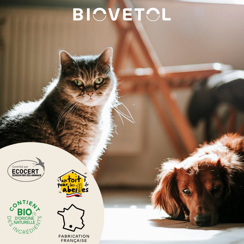 BIOVETOL Shampooing sólido anti-picazón Bio para perro y gato