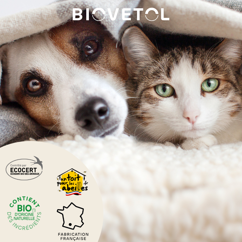 BIOVETOL Bio-Reinigungsschaum für Katzen und Hunde