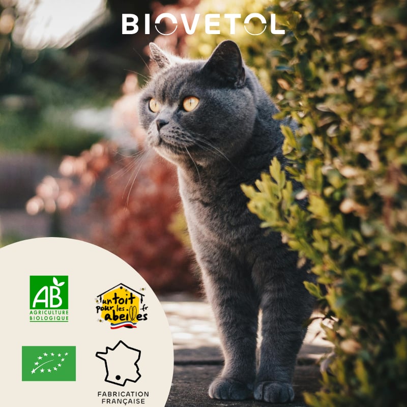 BIOVETOL Poudre Alt'vers bio pour grand chat