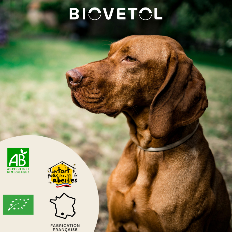 BIOVETOL Polvo alt'vers para perro grande 