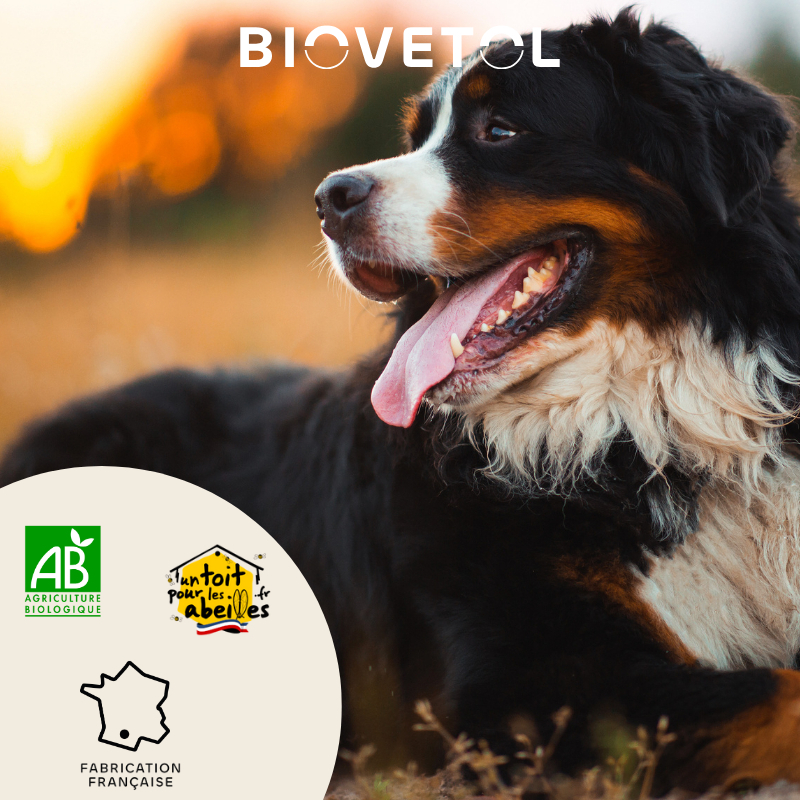 BIOVETOL Comprimidos bem-estar intestinal orgânico para cães médios / grandes