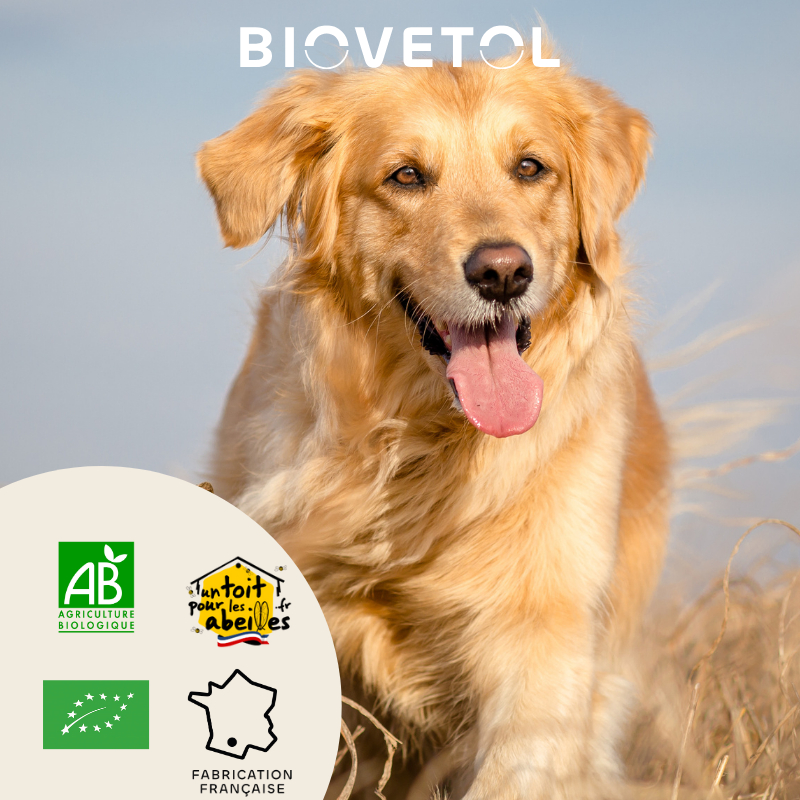 BIOVETOL Poudre stimul'intestin bio pour grand chien