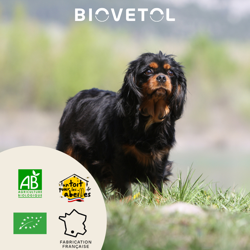 BIOVETOL Pó Detox'plus bio para cão pequeno