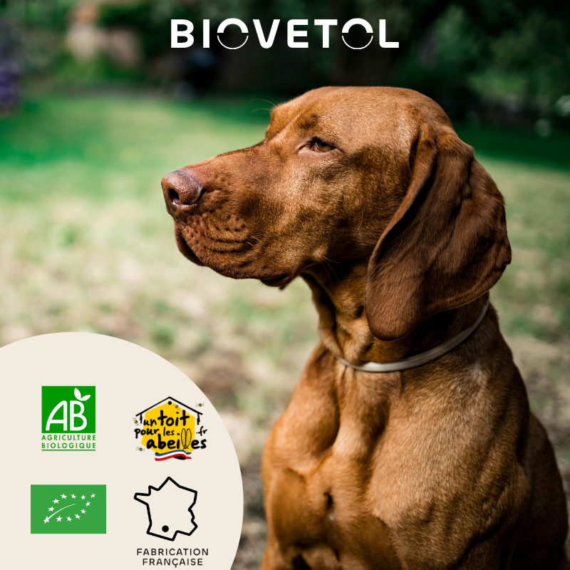 BIOVETOL Pó Detox'plus bio para cão de grande porte