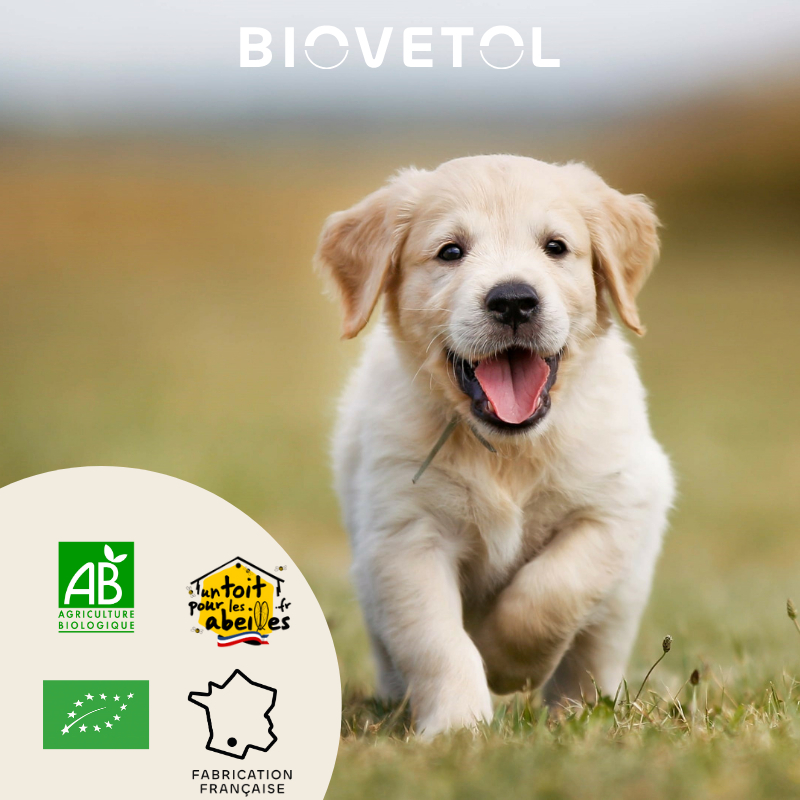 BIOVETOL Polvo protect'immun bio para perro pequeño