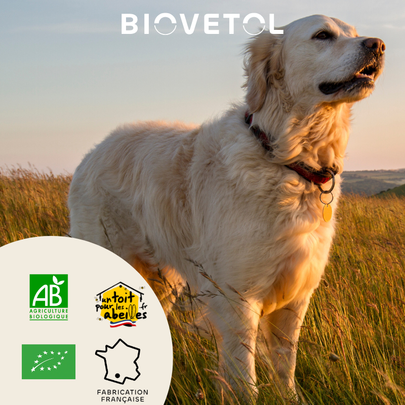 BIOVETOL Poudre Protect'Immun bio para perro grande