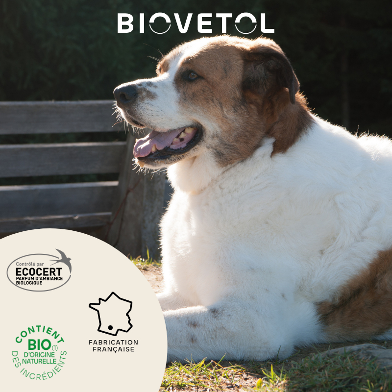 BIOVETOL Lotion Destruct'Urine bio für Hunde 