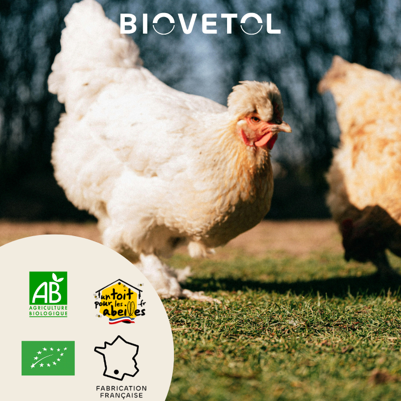 BIOVETOL Polvere benessere intestinale bio per avicoli