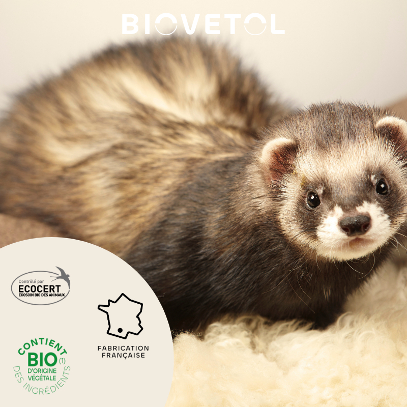 BIOVETOL Pipetas antiparasitárias bio para roedores