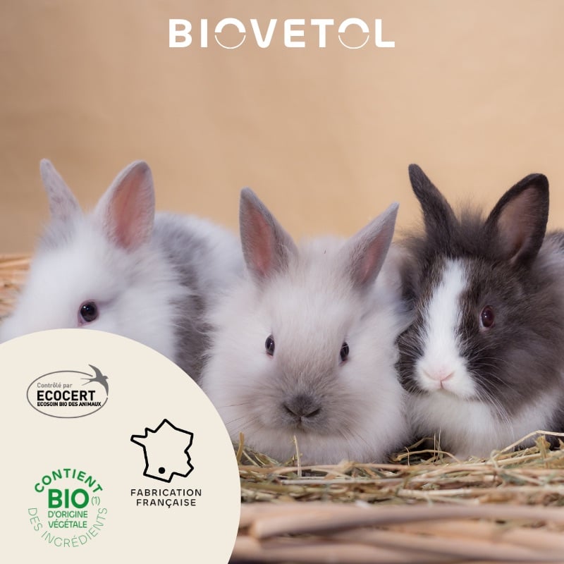 BIOVETOL Poudre anti-insectes bio pour rongeurs