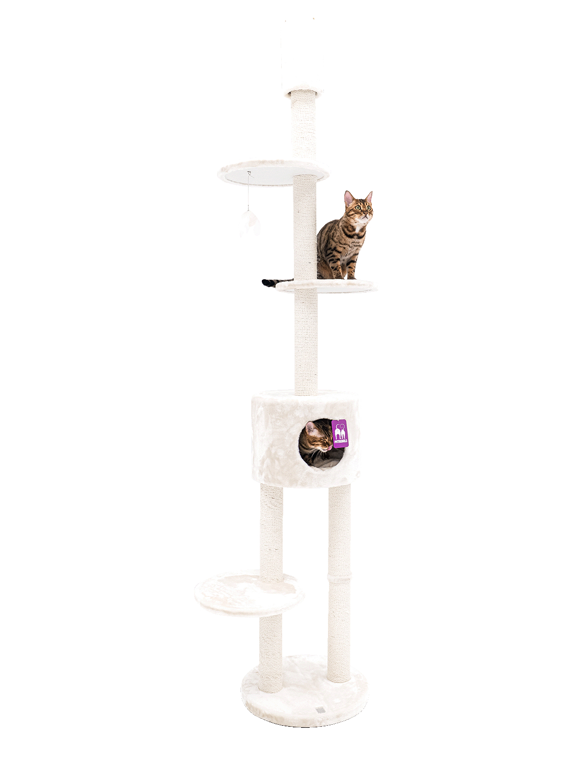 Árbol para gatos Anna crema - 240cm