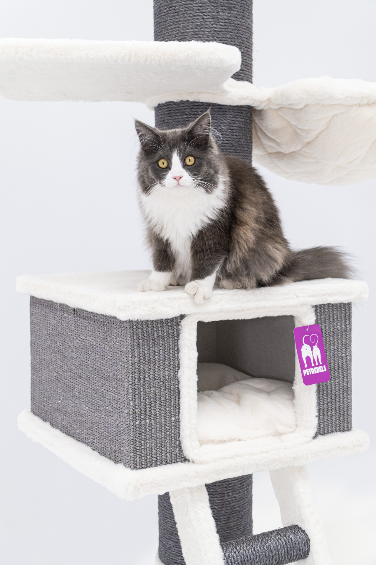 Árbol para gatos XXL Ragdoll gris y blanco - 180cm