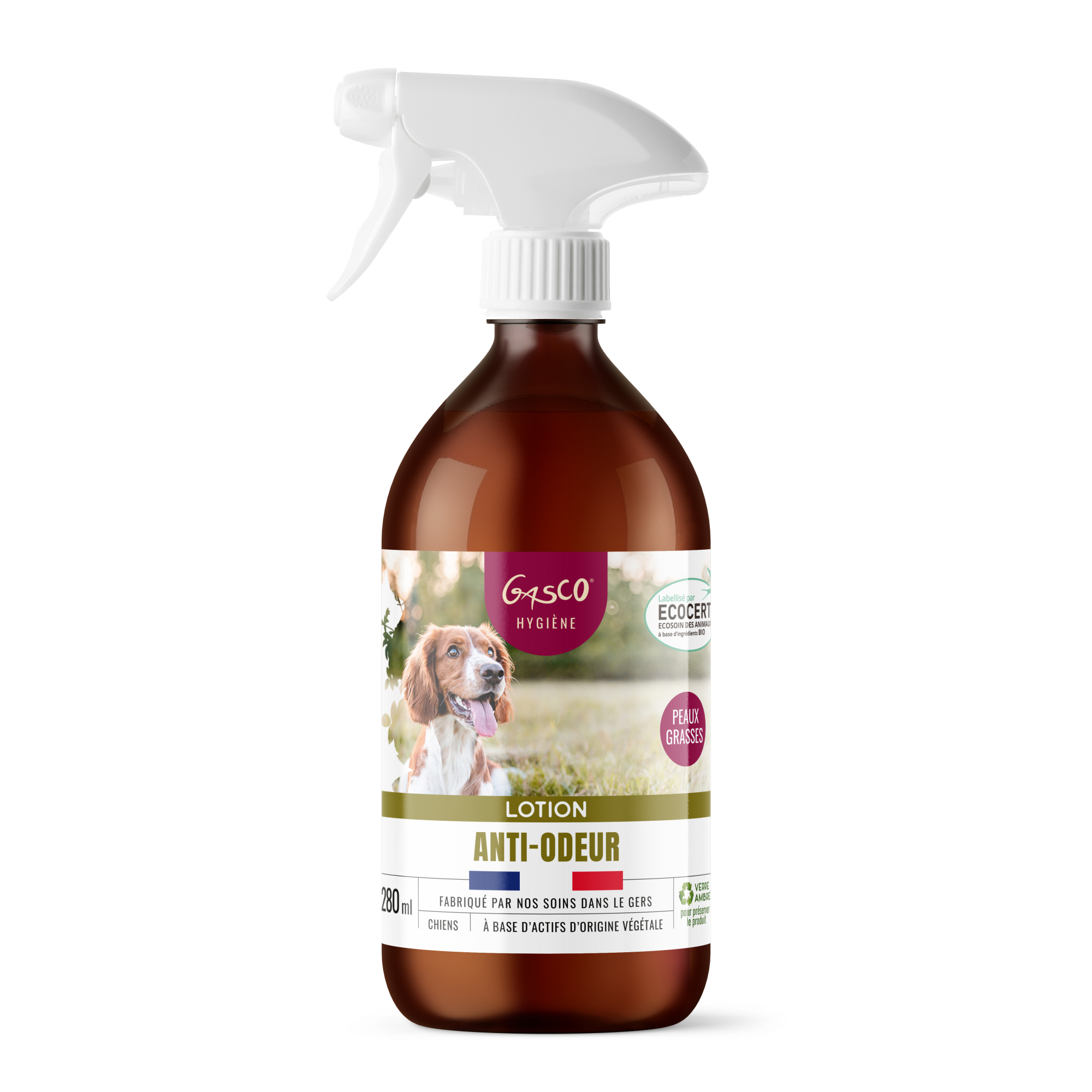 GASCO Lotion peau grasse chien