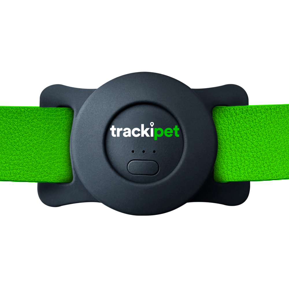 TRACKIPET Traceur GPS pour chien