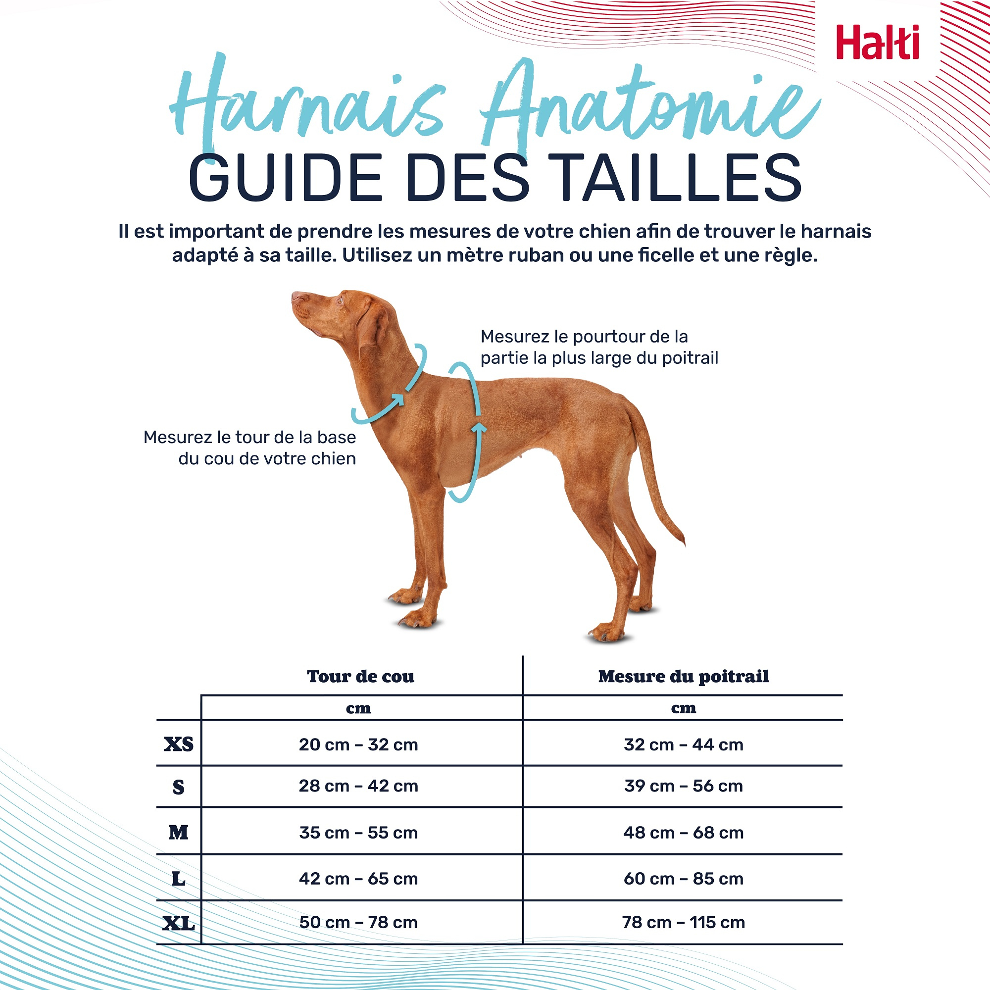 HALTI Harnais Anatomy pour chien - Vert