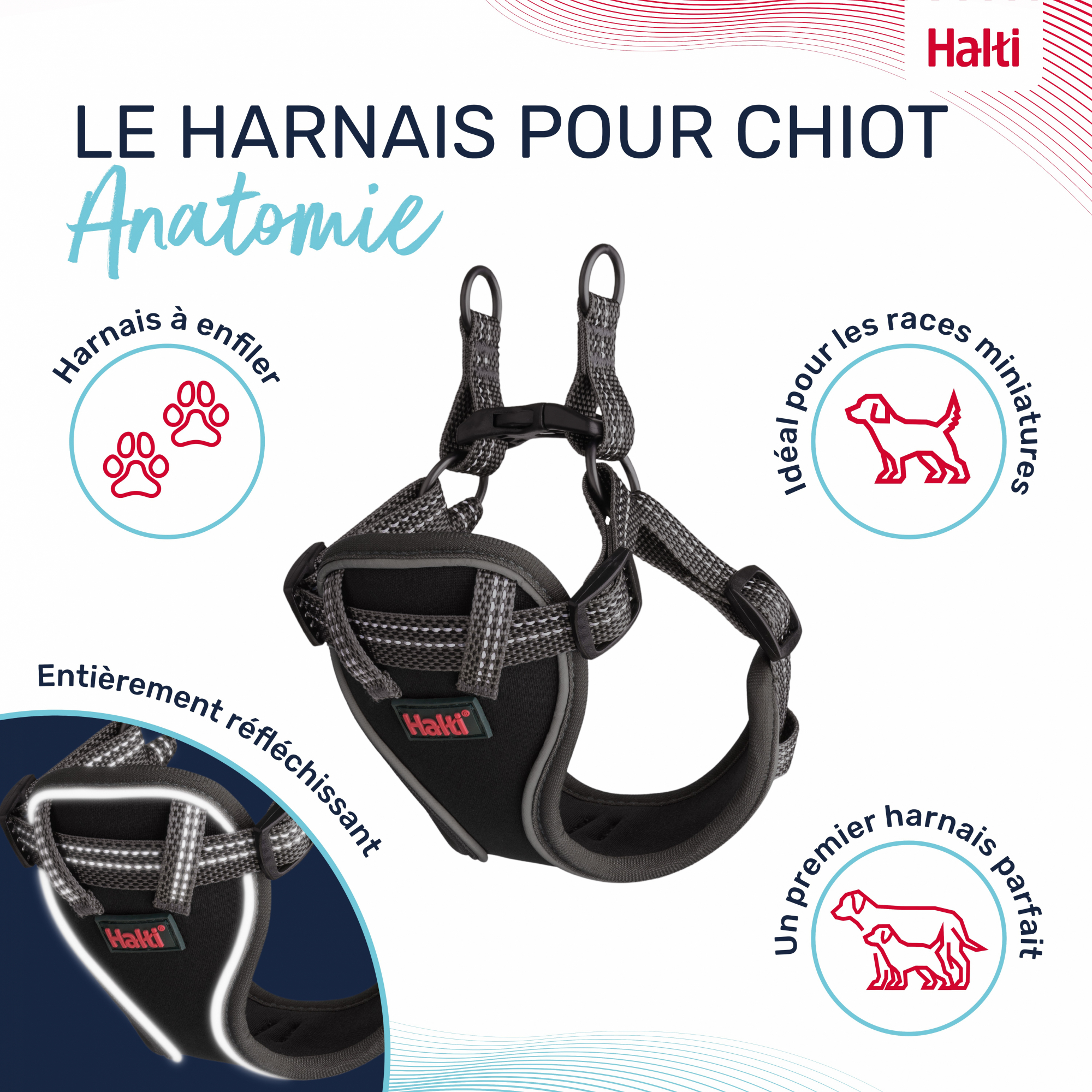 HALTI Harnais Anatomy pour chiot - Gris