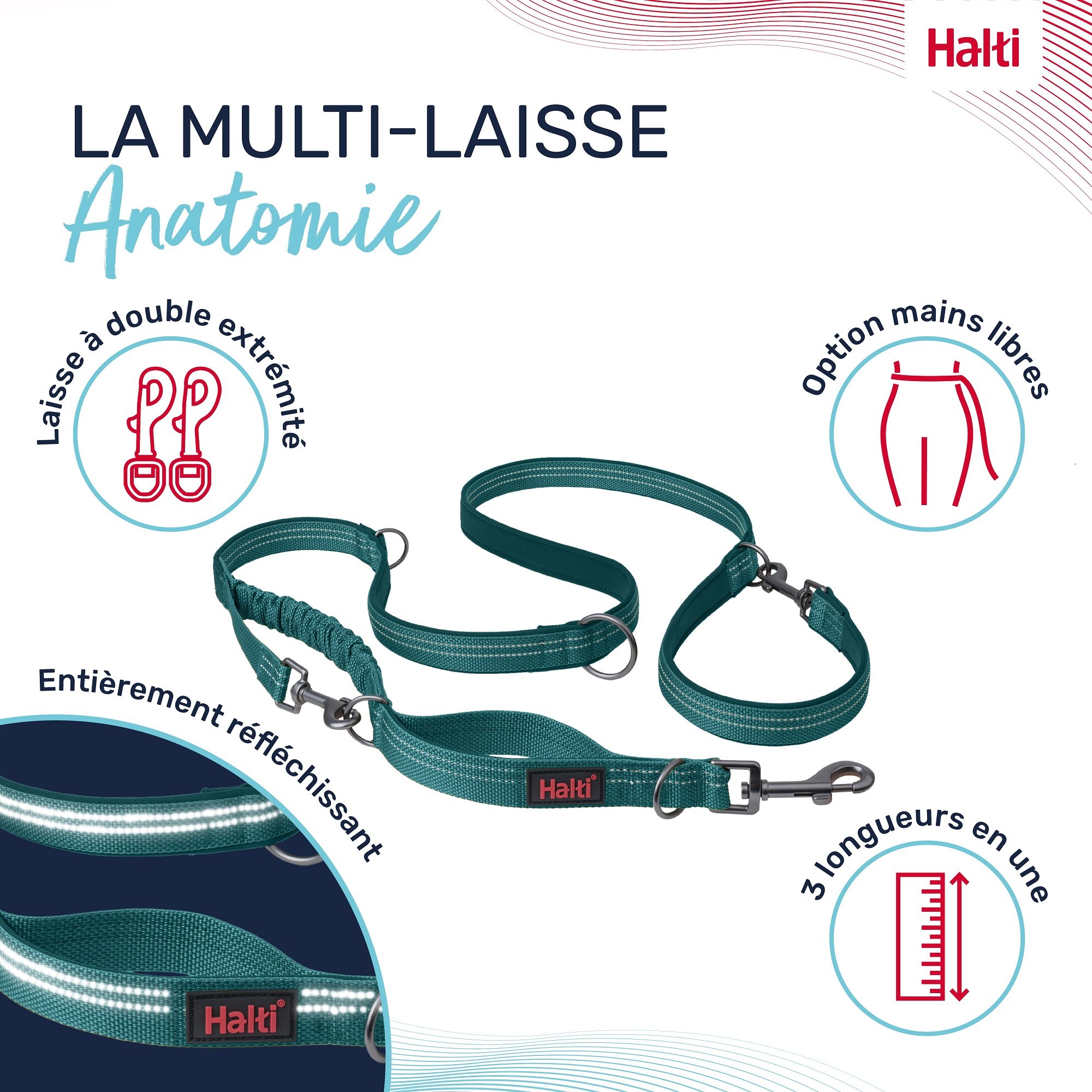 HALTI Laisse multiposition Anatomy - Bleu sarcelle