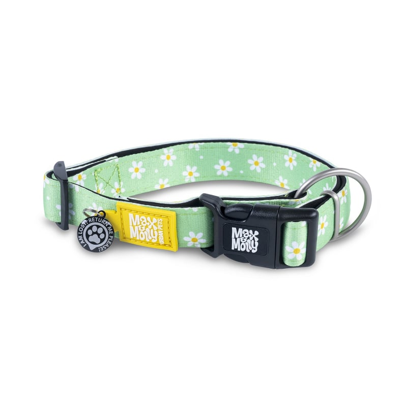 Max & Molly Collar para perros Smart ID - Margaritas