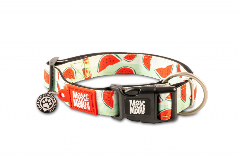 Max & Molly Collar para perro con medalla de identificación inteligente - Watermelon