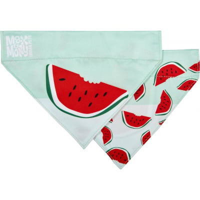 Max & Molly Collier pour chien Smart ID - Watermelon 