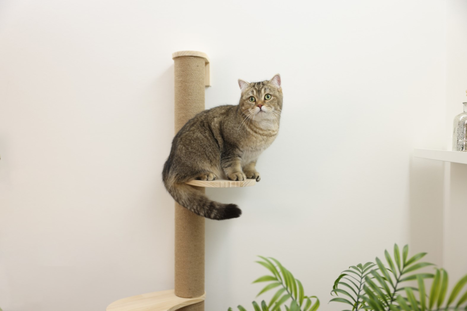 KERBL Arbre à chat Timber